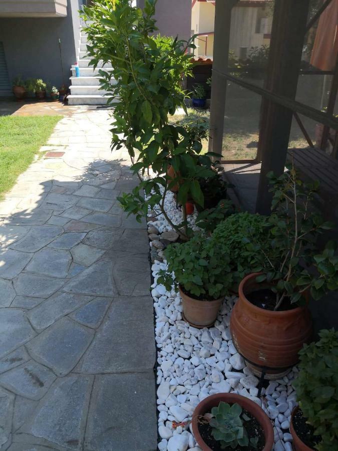 Menta Apartment Nea Iraklitsa 外观 照片